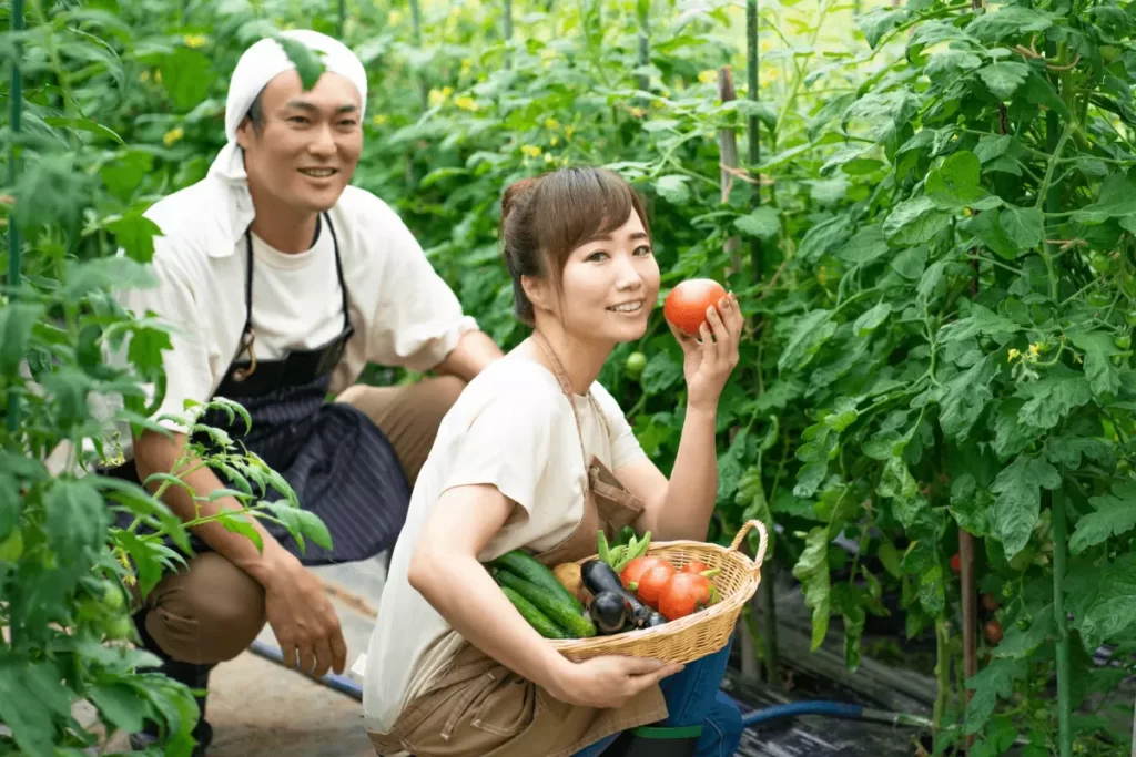 2-orang-Kerja-Pertanian-di-Jepang-1024x683